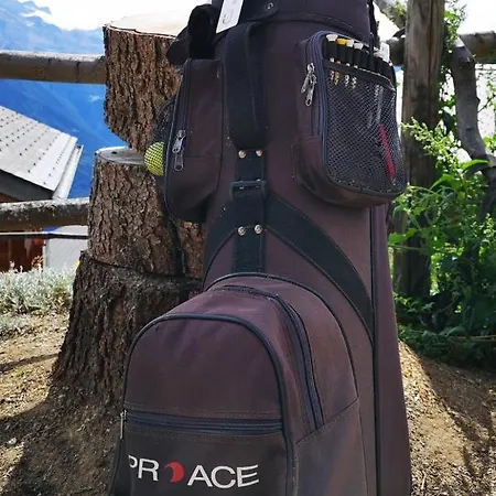 Arve 2. Stock Riederalp